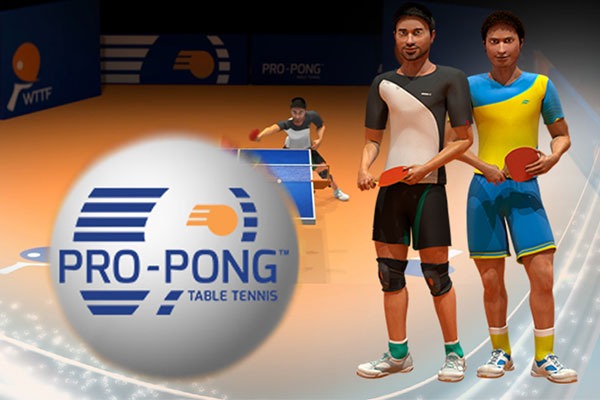 Pro-Pong Table Tennis