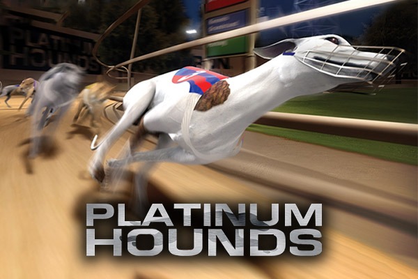 Platinum Hounds